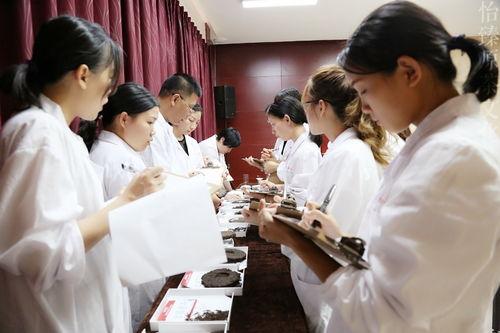 娱乐圈吃瓜西兰花,揭秘“吃瓜西兰花”背后的故事  第3张